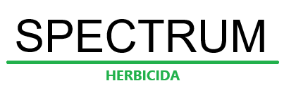 spectrum-logo.png