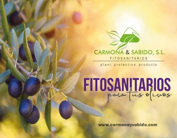 flyer-olivos-opt-2-1-2-page-0001.jpg