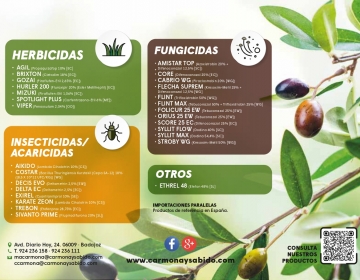 flyer-olivos-opt-2-1-2-page-0002.jpg